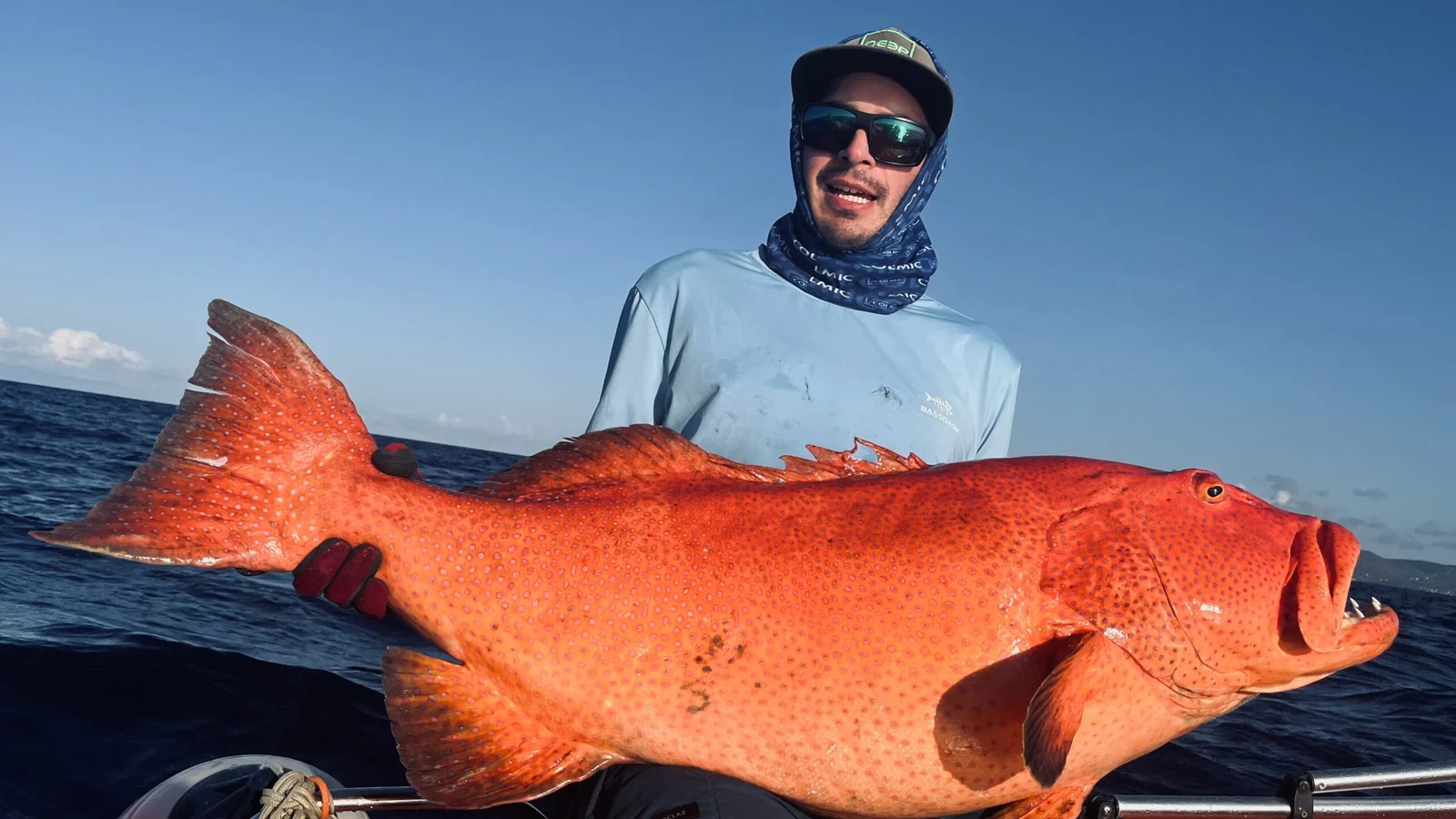 Isla Rodrigues Report ´23