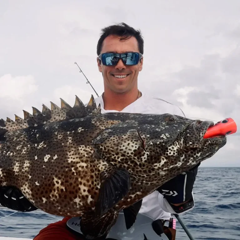 Volcano Report – Feb ´25