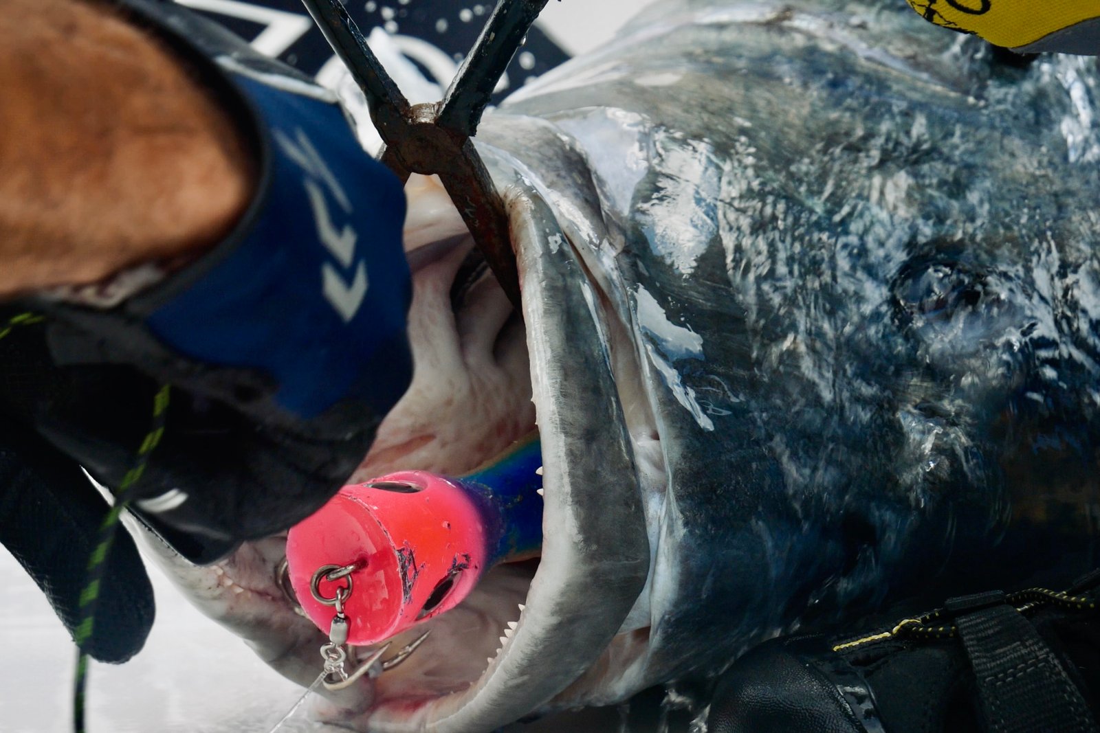 Surface lure popper Andaman GT fishing Volcano Island expedition February 2025