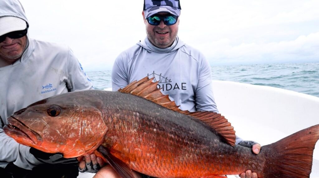 Giant cubera snapper – Panama fishing expedition