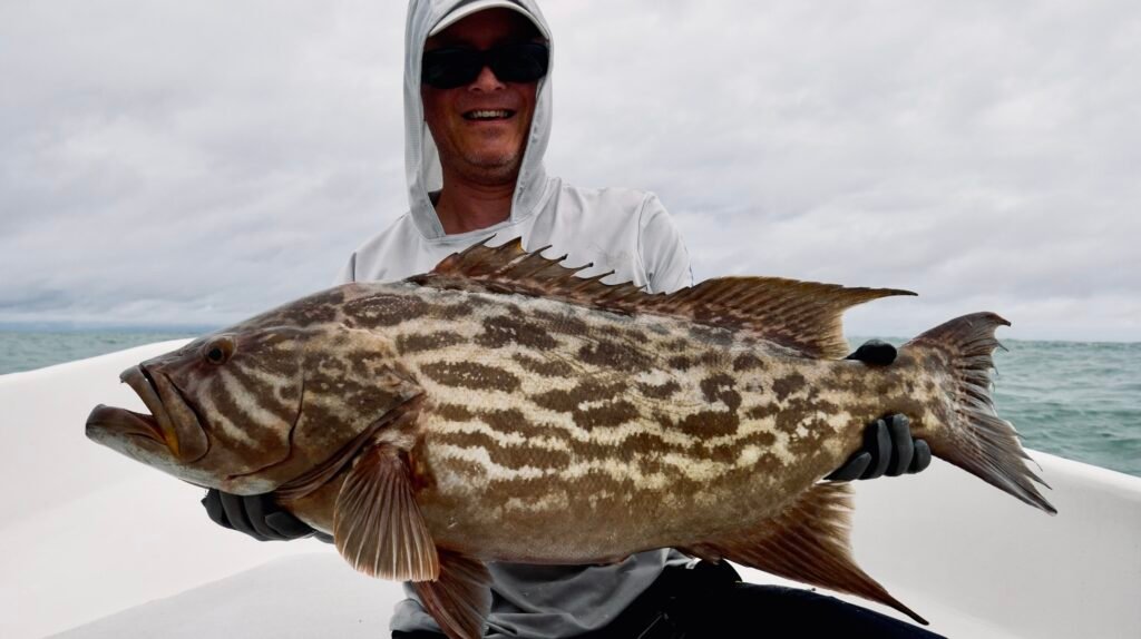 Grouper Panama fishing expedition