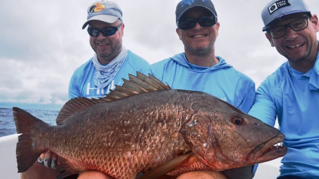 Cubera Snaper catch – Tuna Coast Panama