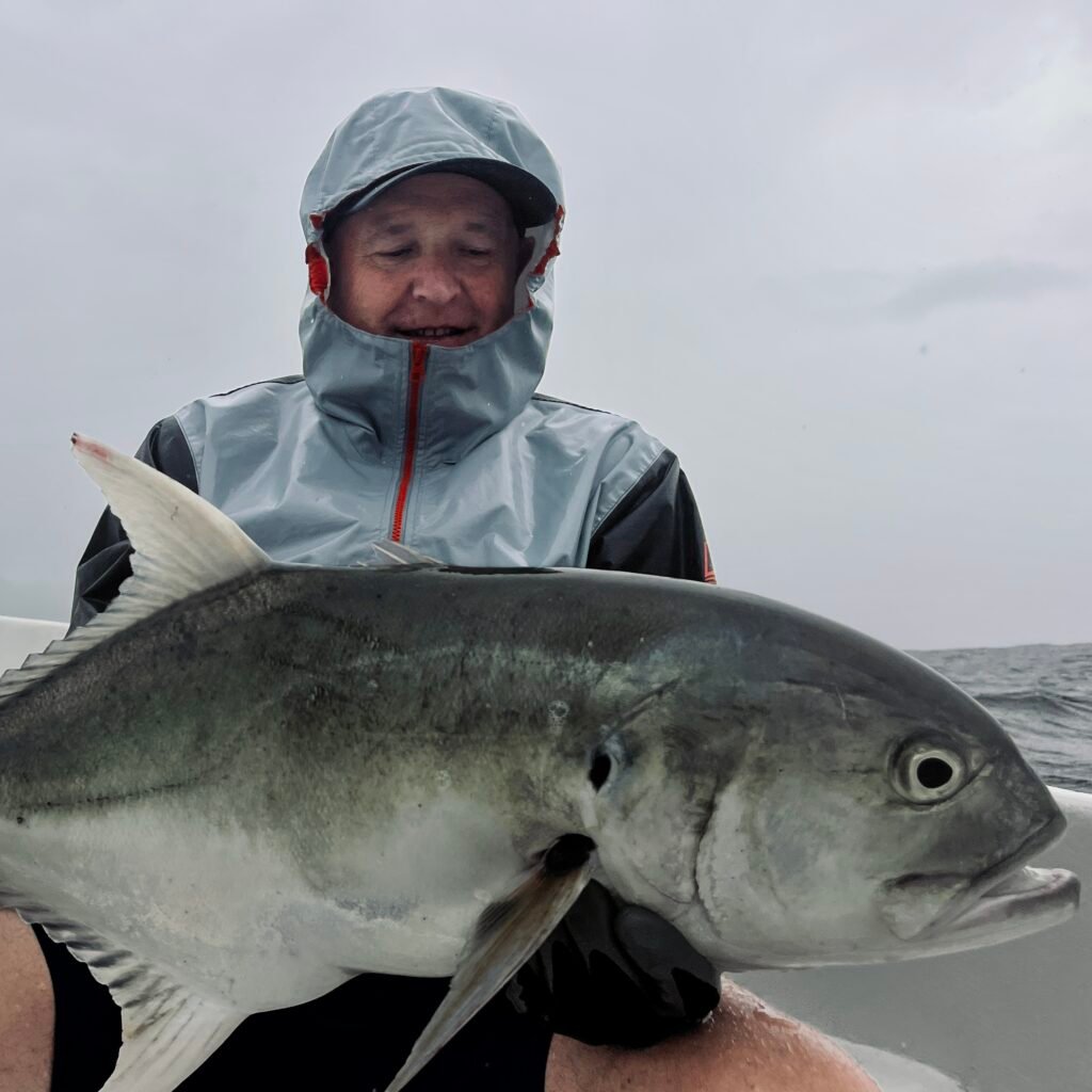Amberjack jigging Panama Tuna Coast November 2024 Sparidae 30 fish day