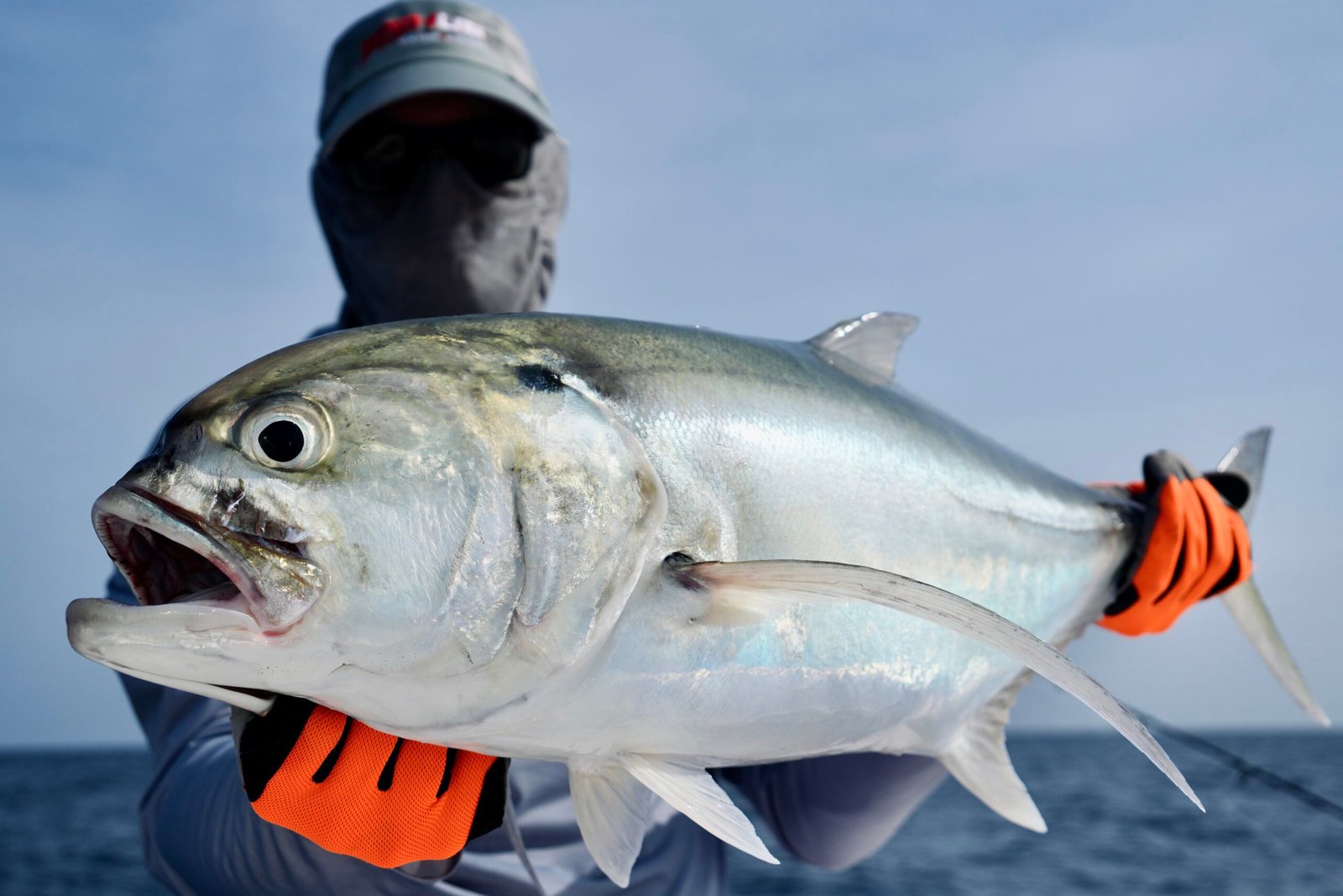 GT friend 30-35kg popping Lamu Island Kenya first day March 2026 Sparidae