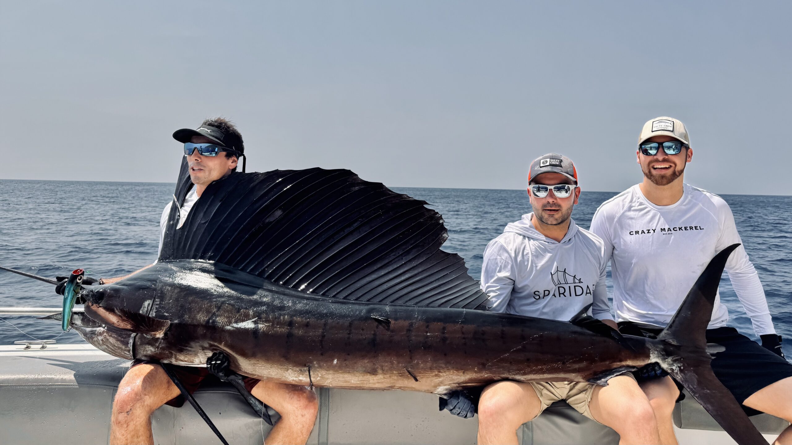Sailfish record on popping gear Volcano Island Andaman Sea February 2025 Sparidae expedition
