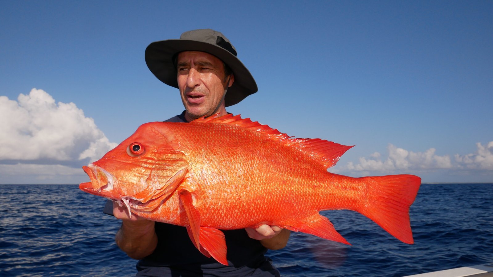 Lamu Island Kenya offshore fishing expedition November 2025 Sparidae closing