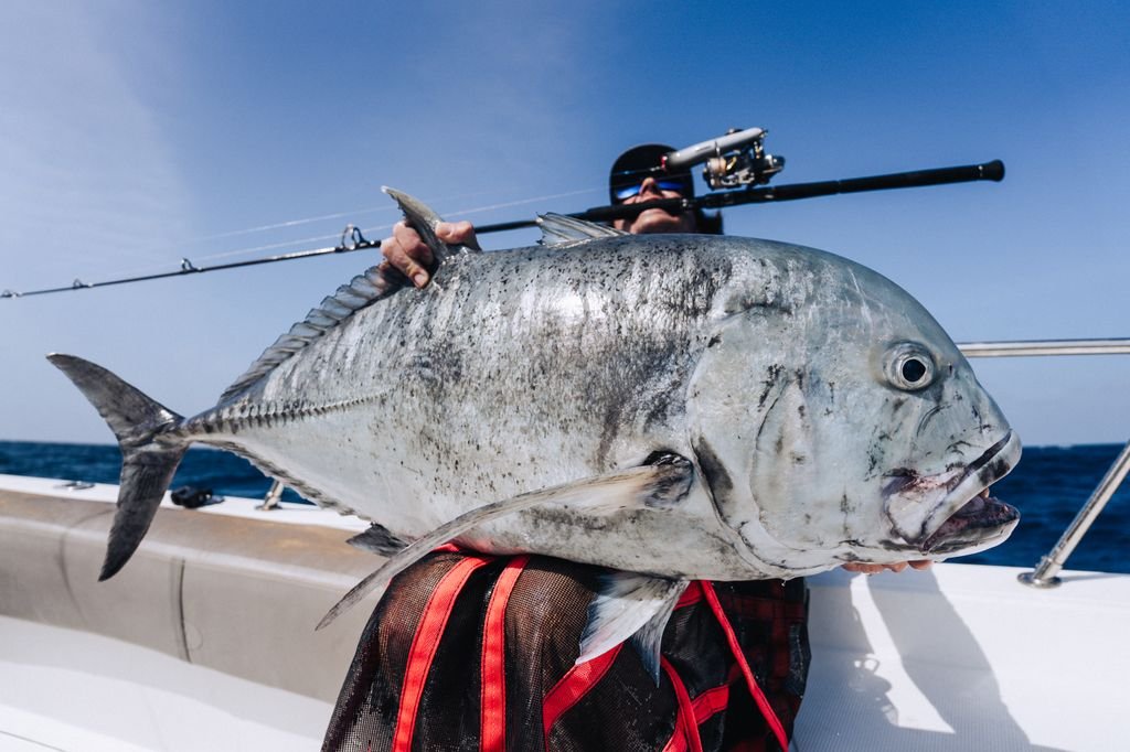 33 GT Incredible Banks last day Andaman Sea French Fisherman Sparidae closing 2026