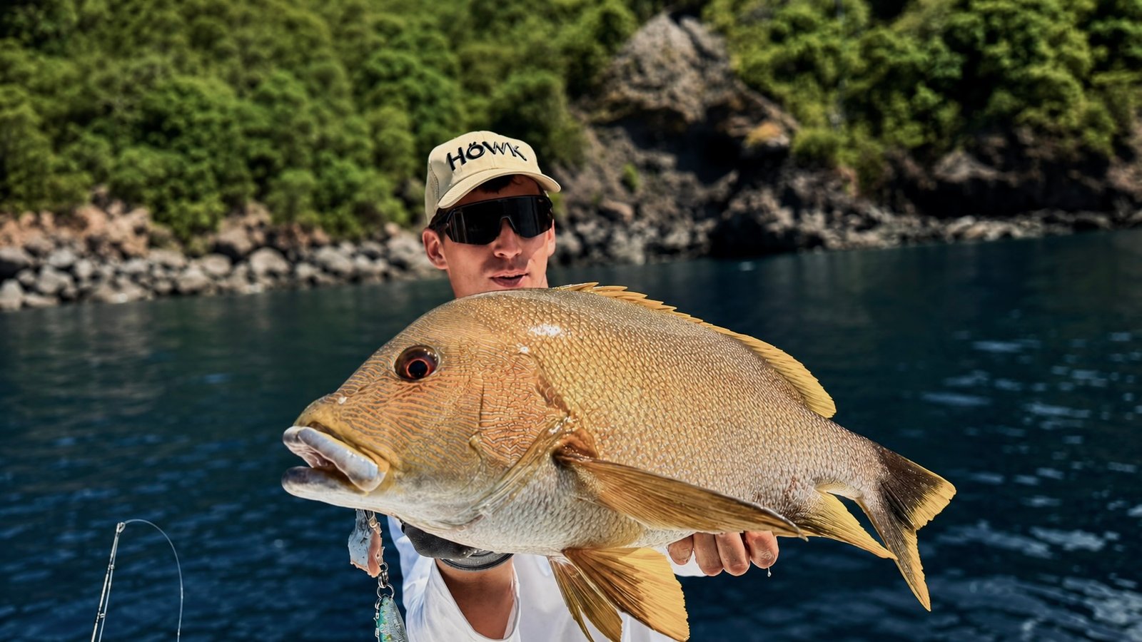 Yellowfin tuna Volcano Island Andaman Sea April 2026 Sparidae golden catch