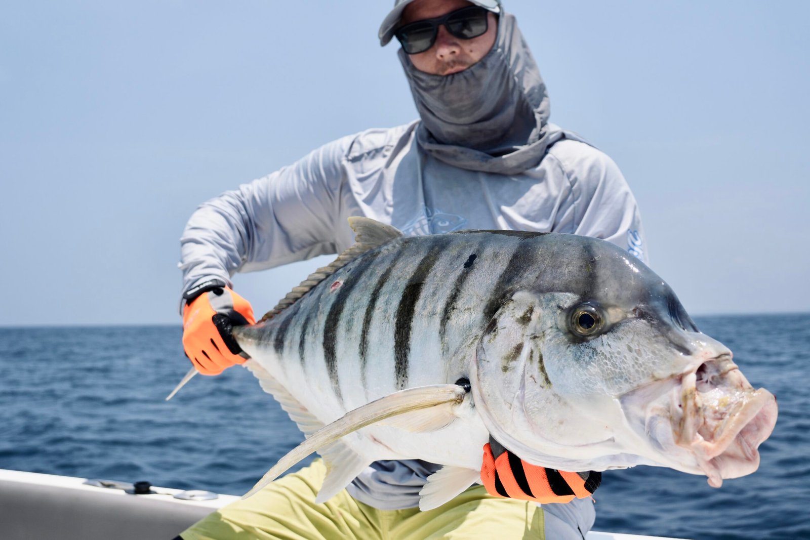 Mixed species Kenya Lamu Island fishing March 2026 trevally grouper Sparidae
