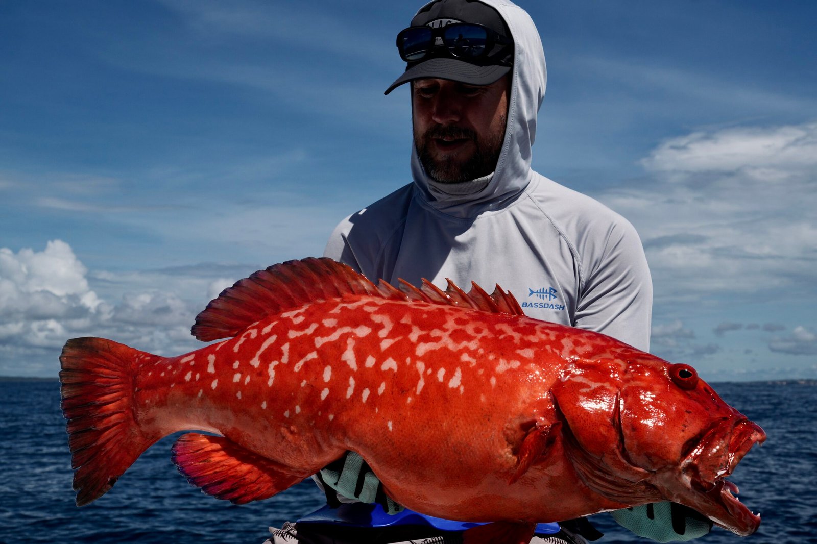 Mixed species catch Lamu Island Kenya March 2026 Sparidae Group II expedition