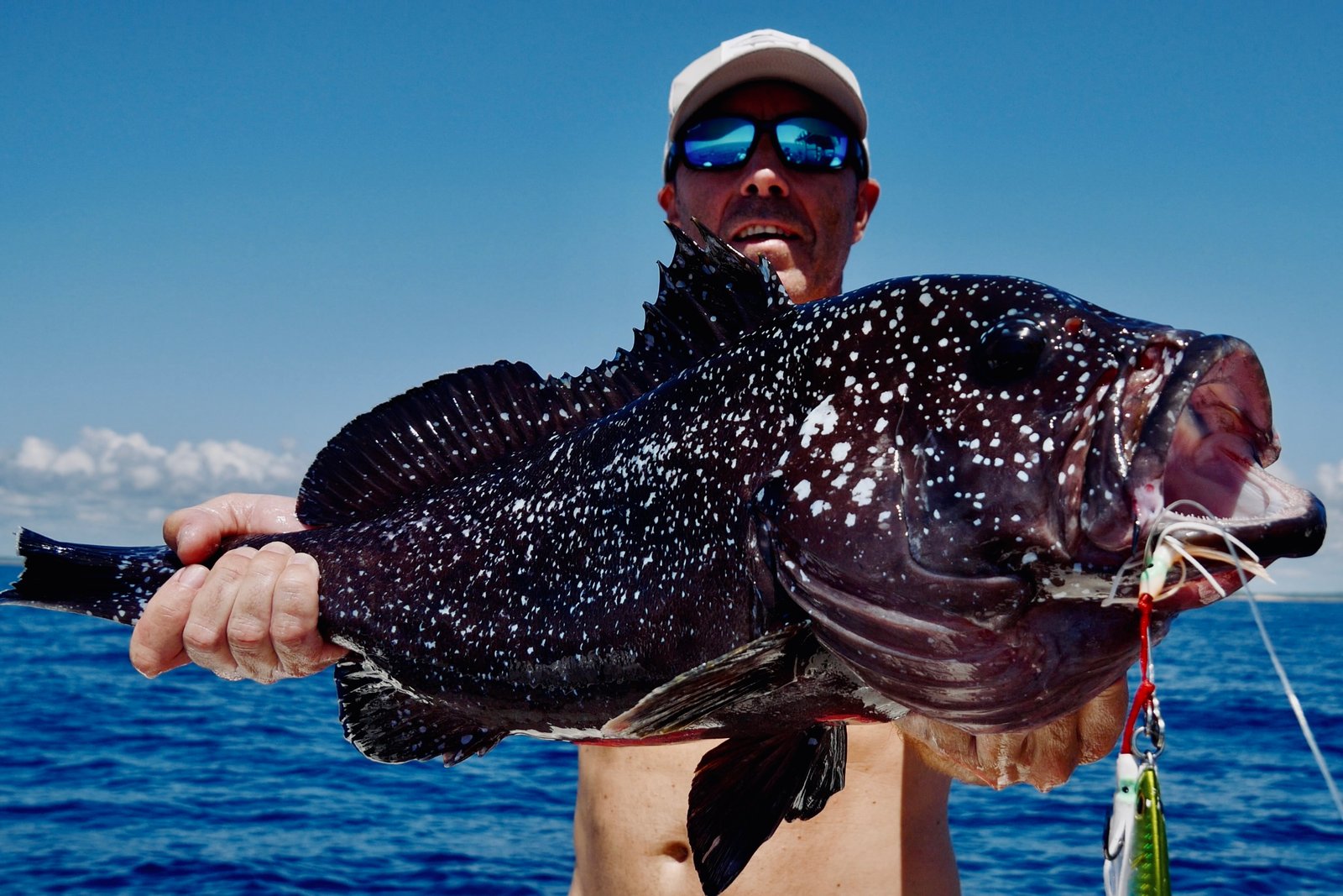 Spotted grouper Kenya Lamu Island fishing November 2025 Segis expedition