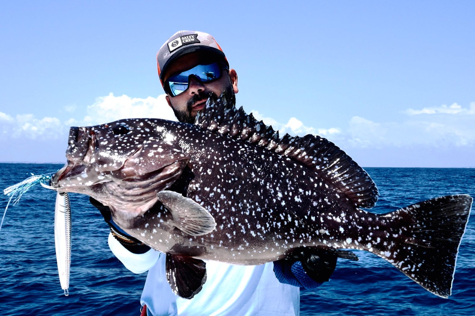 Spotted grouper catch Lamu Island Kenya November 2025 Viti Sparidae